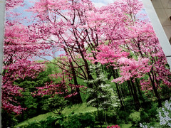 Timeless Treasures of SOHO Patt# “Nature”- C 2759 Flowers Forest Fabric Remnant