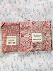 Set of 2 Moda French General Partial Layer Cakes NEW Rue Indienne Favorites DIY