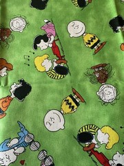 Peanuts Comics Characters Fabric Print: 18 1/4” x 43 1/2”