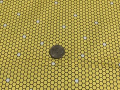 Fabric Honeycomb Bee Full Cotton QT 1/4 Yard 7612-S