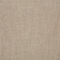 Sunbrella Cast Ash 40428-0000 Outdoor 54″ Canvas Fabric By the yard
