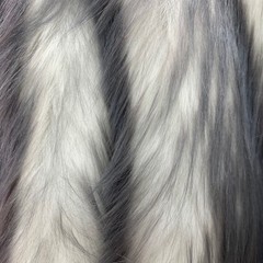 Bristol GREY Tip Candy Shag Long Pile Soft Faux Fur Fabric for Fursuit, Cosplay