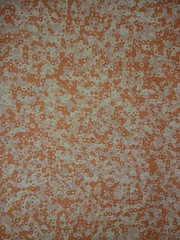 3 yards cotton quilt fabric name brand LAST ONE free shipping on trend