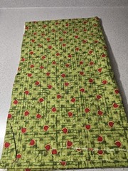 Debbie Mumm Jo-Ann Watermelon Green Backround 2 Yards Fabric