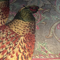 Ralph Lauren Hunting Manor Paisley, Italian Cotton Velvet, BTY, Sable
