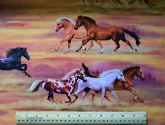 Elizabeth’s Studio Running With The Sun Horses By the 1/4 yard cotton fabric