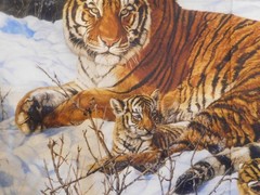 Marshall Dry Goods My Three Sons Tiger fabric panel 100% cotton 45″