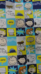 Peanuts Worldwide 2021 Flannel Fabric Checks Comic Grid 1 yd x 44″Snoopy & Gang