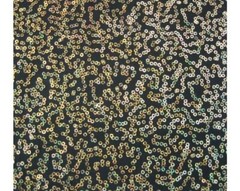 Luxury Sequin Dance Wear Stretch Fabric Material – BLACK GOLD