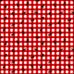 My Happy Place By Studio E Fabrics – Red Ants #6048-81