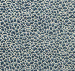 Cowtan & Tout Blue Epingle Cut Velvet Fabric- Veronese / Lapis 1.50 yds 11648-03