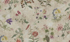 SOFAS & STUFF CURTAIN/UPHOLSTERY FABRIC DESIGN Wildflowers 2.4 MTRS RHS COLL