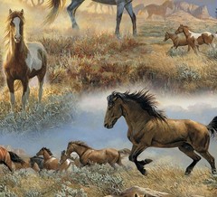 WILD HORSES RUNNING ~ Variety of Horses in a Desert Landscape, on the Range