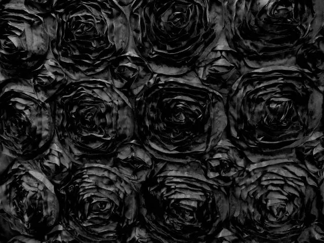 Paige BLACK 3D Floral Polyester Satin Rosette Fabric by the Yard – 10028