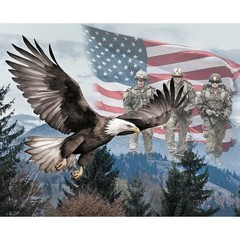 America: 250 Years By Four Seasons – Multi Brave Like An Eagle Panel #8711
