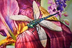 The Hummingbird Panel David Textiles Cotton Size 35.5 W