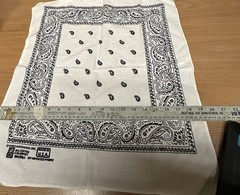 Vintage Paris Accessories White Cotton Bandana 19″ x 19″ RN 13960