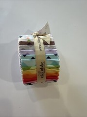 Small Chevron 2.5″ strips by Riley Blake Designs 24 pieces RBD designers