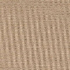 Sunbrella® Indoor / Outdoor Upholstery Fabric – Exhale Driftwood 400001-0005