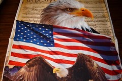 David Textiles DX-4234-3C-1 Eagle and Constitution Panel Cotton 36″ x 45″