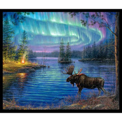 Northern Lights Moose 35″ x 43″ Digital Panel