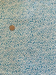 Windham Fabrics Botanical Pop Teal White Dot 100% Cotton Fabric 1 Yard