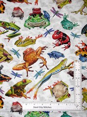 Frog Toad Dragonfly Fabric Jewels of Jungle Cotton Studio E 18″ Length