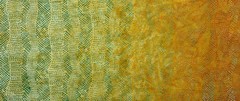 1 Yard Cut of Lunn Fabric Texture Stripe Ombre Batik 100% Cotton 3549 Mango