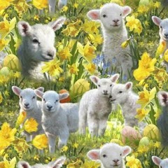 DAVID TEXTILES #AL3834-1 – EASTER LAMBS ALL OVER – MULTI – BY THE YARD