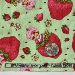 VTG Strawberry Shortcake Those Characters From Cleveland 2003 Flannel Green BTY