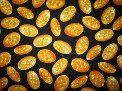 Cheese Variety Blocks Snack Realistic Food Cotton Fabric BTHY
