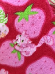 Strawberry Shortcake FLEECE FABRIC 50×66″ Soft Plush