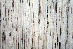 WHITE TREE BARK FROM THE KESSLERS – 100% COTTON FABRIC