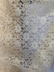 Champagne Sheer Mesh Floral Pattern Raschel Lace 58/60” Polyester Fabric By Yard