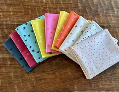 10 Fat Quarters Bundle Ruby Star Society “Starry” Quilt Cotton