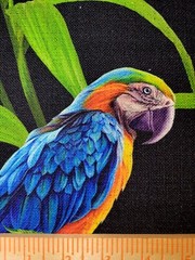 Parrots in Jungle 54″ Wide P Kaufmann Cotton / Rayon Slub Birds on Black
