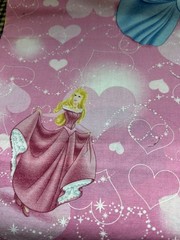 Disney Princesses 18″ x 17″ Cotton Fabric Sewing Crafting One Piece