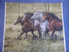 Wide Open Spaces Running Horses Panel Hoffman International Fabrics 43×35 In