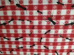 REMNANT Jaftex Red Picnic Plaid Check Fabric Ants Vintage Crafts Clothing 22×19″