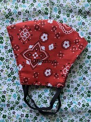 2 Face Mask Triple Layer Handmade Washable Cloth Red Bandana