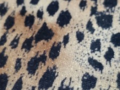 Transfertex Fashion Design Leopard Animal Print Stretch Velour Fabric 1y x 56″