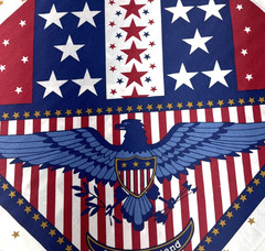 Patriotic United We Stand Red White Blue Star Stripes Fabric Panel 42″x23″ #69