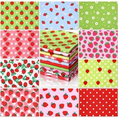 10 Pcs 18×22 Strawberry Fat Quarters Quilting Fabric Bundles
