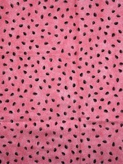 Springtime Fabric Lil Miss by Desiree Designs Red Rooster 21241 Cotton 44″ 1 Yrd