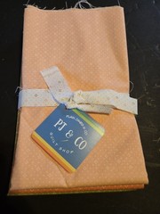 Cinnamon & Cream Eyelets Half Yard Bundle By Plain Janes & Co By Moda.