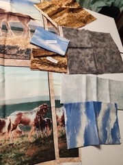 23×44 Panel KIT Quilt Wall Hanging Pillow Mustang horse Meadows 100 % cotton