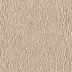 Palm Island Tan (Auto/Marine/Contract) *Free Shipping*