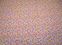 30s Reproduction Fabric By Yard Sm Purple Yellow Floral White Premium Cotton #PC