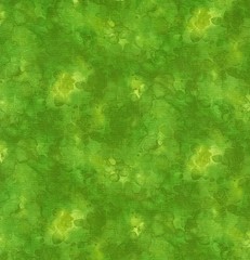 TIMELESS TREASURES – Solid-ish by Kimberly Einmo – Watercolor Texture – Lime