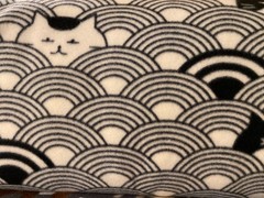 Blizzard Fleece -3.5 Yard piece- 59 inches wide – Hiding Cat / Cat Gray